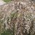 Rhonda Sprowle's profile image