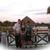 Diane M. Bohlen's profile image