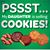 Jennifer Phelan Adams's profile image