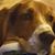 Jamie Lowe's profile image