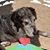 Debra Carrillo's profile image