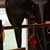Joan Hergenreder's profile image