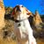 Wendy Dudley's profile image
