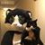 Susan Powers's profile image