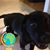 Donna Mathiesen Allen's profile image