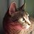 Billie Humphrey's profile image