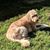 Candi Gross Oster's profile image
