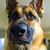 Anthony Tony Lawson's profile image