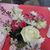 Susie Solano Govea's profile image