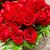 Christina Reckner Peltz's profile image