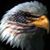 Tony Greene's profile image