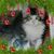 Selora Lawrence's profile image