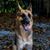 Jody Chansler's profile image