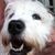 Robert Michael James's profile image