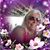Barbara A Loree's profile image