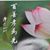 董慧涓's profile image