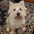 Vicki Misico Hall's profile image