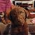 Lisa Mathers Smith's profile image