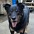 Dawn Enderly-White's profile image