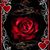Michelle DeLong's profile image