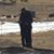 Carole Lamb McGee's profile image