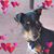 Bonnie Smith's profile image