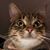 Sarah Kelly's profile image