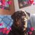 Jackie Lingo Stevens's profile image
