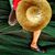 Froilan Isidro's profile image