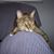 Jonathan Miller's profile image