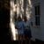 Susan James Werner's profile image
