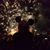 Michelle Nauman's profile image