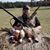 Ted Adw Jmz's profile image