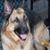 Sindi Parker's profile image