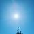 Gulia Gafurova's profile image