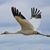 Randall Koehler's profile image