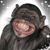 Karen Abbott Beeks's profile image