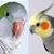 Glenda5312's profile image