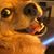 Nina Rose's profile image