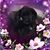 Debbie Clark's profile image