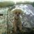 Terry Czaplicki's profile image