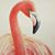 Teresa Carli Bragg's profile image