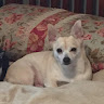 Ampersandrascott's profile image