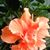 Patty Jablonski's profile image