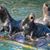 Linda Baxley's profile image