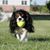 Mary Francis's profile image