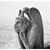 Alaina Yohe Kuehn's profile image