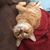 Connie Kelley- Rosa's profile image