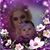 Amber Smith's profile image