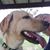 Julie Jules Frazier's profile image